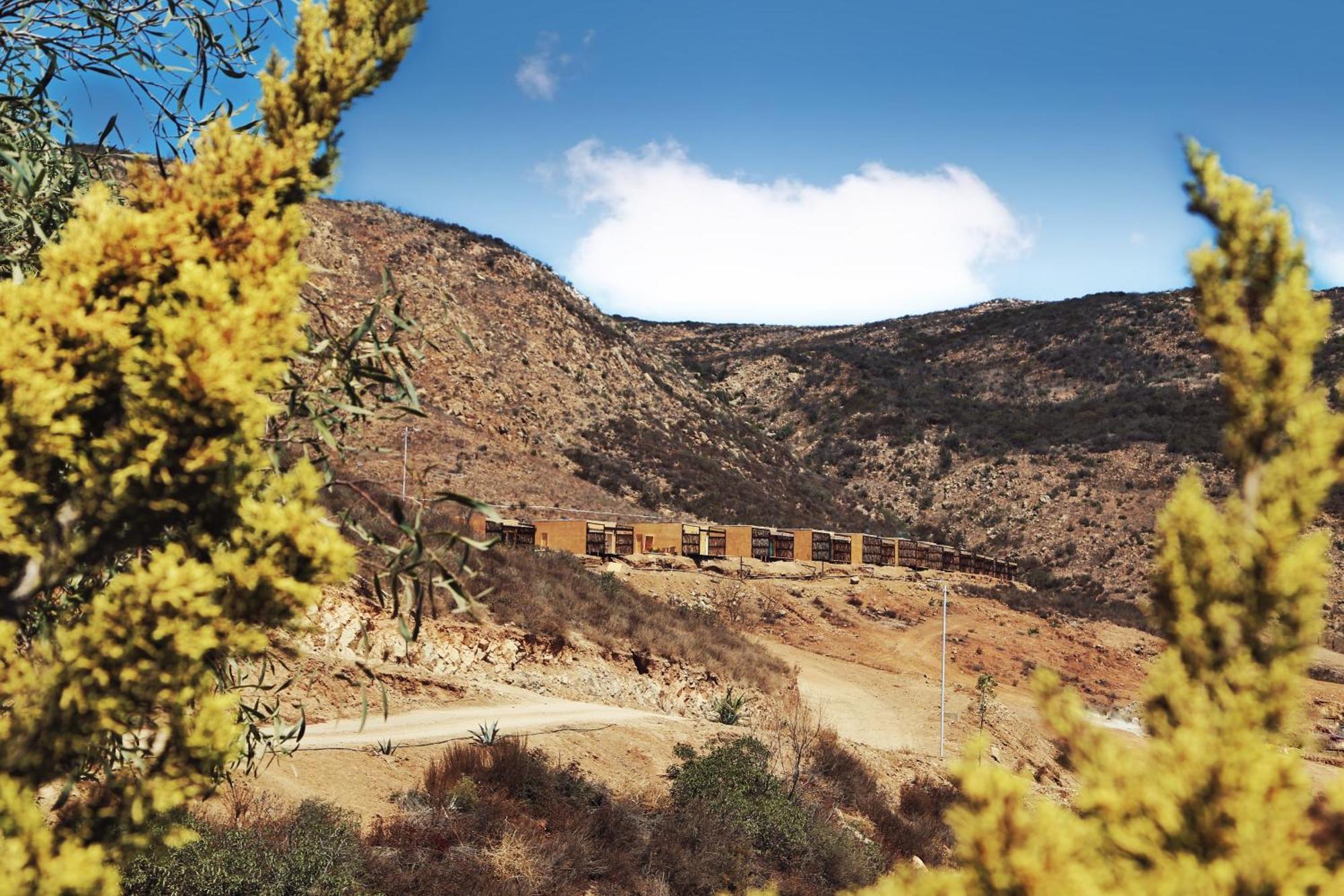 Maple Resort Ejido Santa Rosa Εξωτερικό φωτογραφία